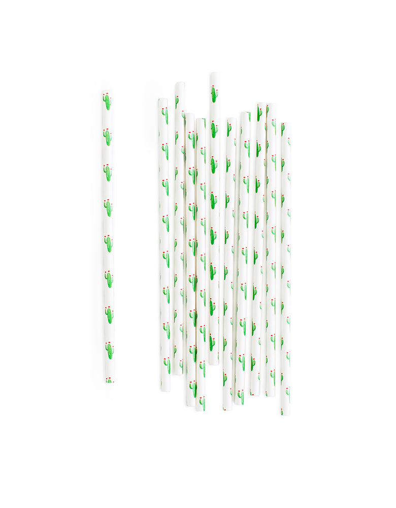 Big Dot Of Happiness Prickly Cactus Party - Paper Straw Decor