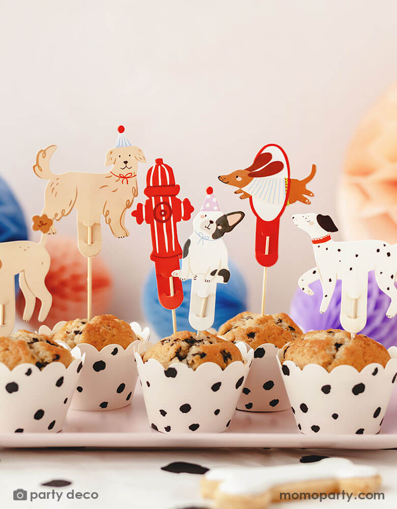 Several muffins in Dalmatian printed cupcake wrappers topped with Momo Party's puppy dog cupcake toppers by Party Deco. These adorable cupcake toppers comes in 7 designs with different dogs and a fire hydrate. Around the tray there are some honeycomb ball decorations in soft pastel colors on a Dalmatian printed tablecloth, along with bone shaped sugar cookies, this makes a great inspiration for a dog themed birthday party snack and decoration ideas!