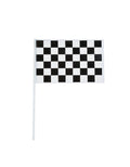 Black & White Checkered Flags (Set of 12)